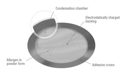 This diagram demonstrates the key components of the Viaskin patch